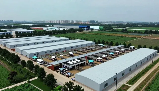 数字身份全流程跟进中的应用场景与维护策略